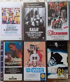 Lotto 6 Videocassette Pasolini, Fellini, Perlini