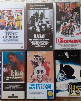 Lotto 6 Videocassette Pasolini, Fellini, Perlini
