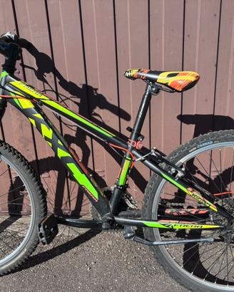 Bicicletta Frera 24