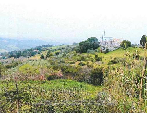 Terreno Agricolo Castellina Marittima [A4314949]