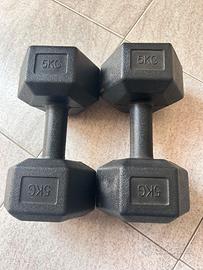 Manubri esagonali da 5 kg