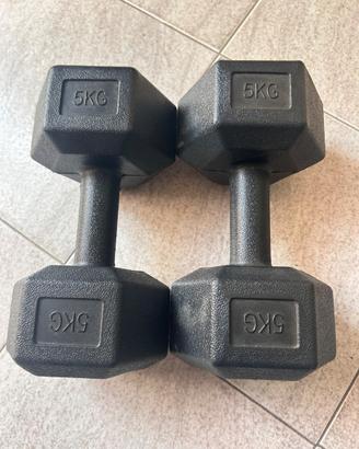 Manubri esagonali da 5 kg
