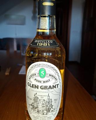 Bottiglia Wiski glen grant distillato 1981