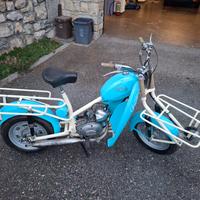 Gelosa Folletto panettiere