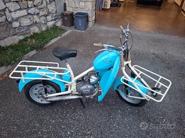 Gelosa Folletto panettiere