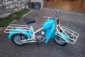 Gelosa Folletto panettiere