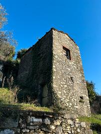 Rustico in pietra con uliveto e vigneto