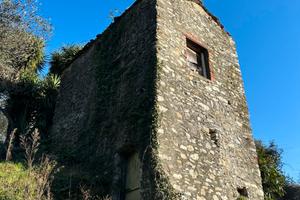 Rustico in pietra con uliveto e vigneto