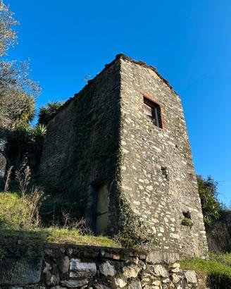 Rustico in pietra con uliveto e vigneto