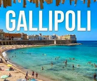 Ferragosto gallipoli casa 10/20 posti 338 8113811