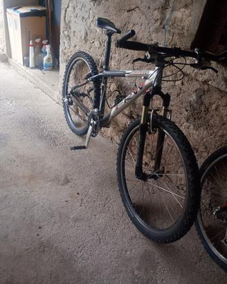 biciclette 