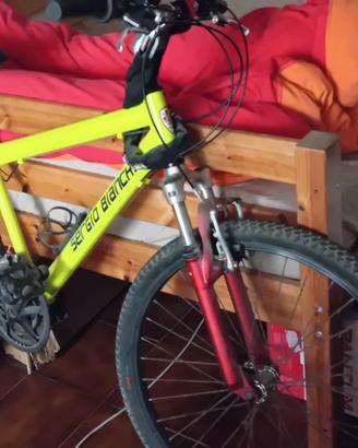 Bici MB  Sergio Bianchi