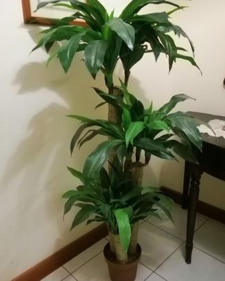 Pianta artificiale tronchetto della felicita