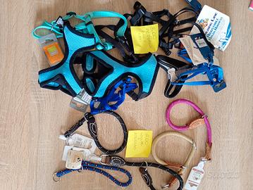 accessori cane e gatti 