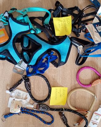 accessori cane e gatti 