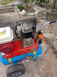 Motoseghe e Moto compressore 