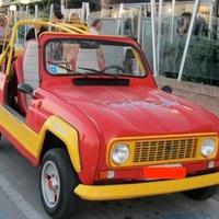 Renault 4 Frog