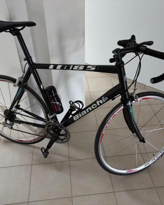 Bici da Corsa Bianchi 1885 (XL)