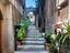 Immagine 5