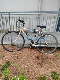 Bicicletta uomo diametro ruote 28'