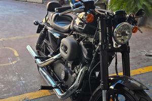 harley devidson XL1200 roadster 