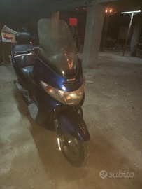 Suzuki burgam 250