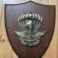 Crest Militare Genio Guastatori Paracadutisti Folg