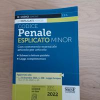 Codice Penale esplicato