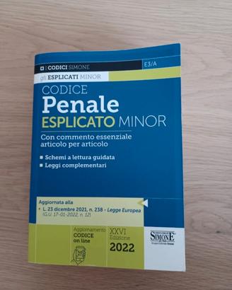 Codice Penale esplicato