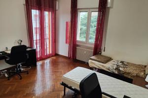 Posto letto in stanza doppia ingegneria Saragozza