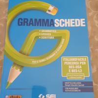 Libro "Grammaschede" italiano facile per Bes, Dsa