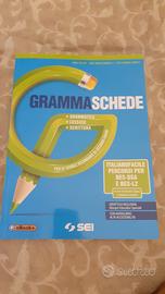 Libro "Grammaschede" italiano facile per Bes, Dsa