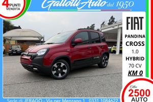 Fiat PANDINA Cross 1.0 firefly hybrid s&s 65cv