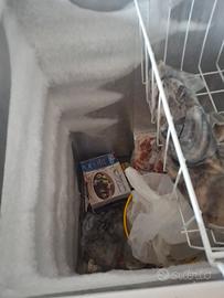 congelatore piccolo a pozzetto.