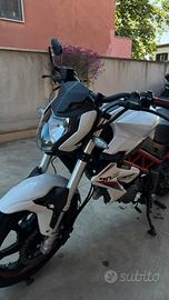 Benelli bn 125 2022