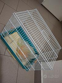Gabbia animali 