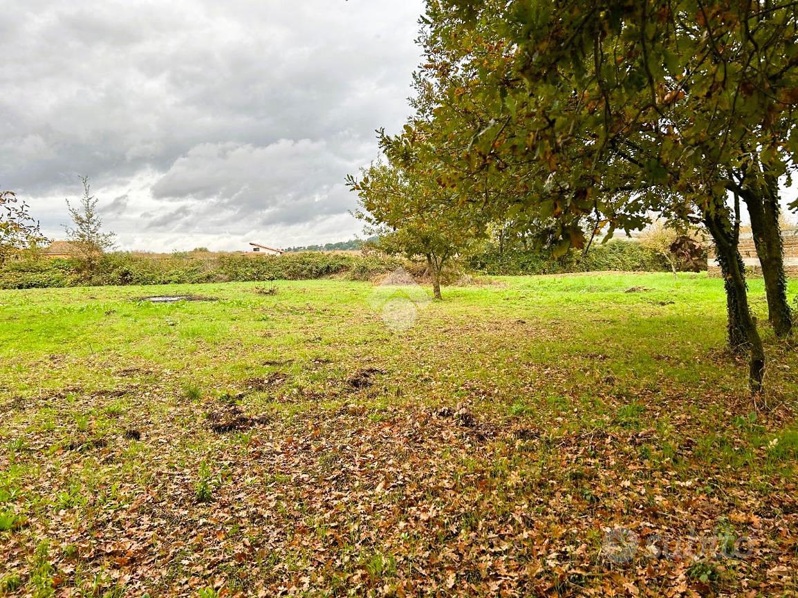 RUSTICO A SUTRI - Vista 5