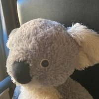 Peluche koala