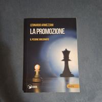 ARMEZZANI LEONARDO - La promozione