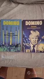Rivista Domino 