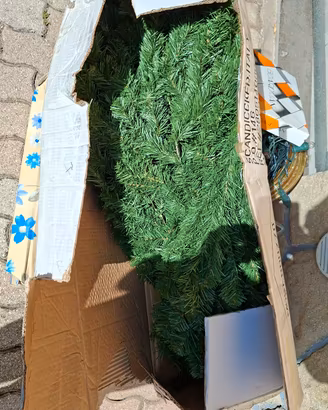 Albero di Natale