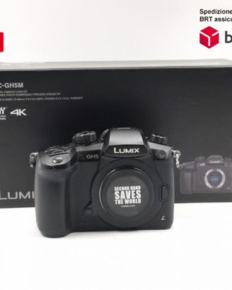 Panasonic GH5 S