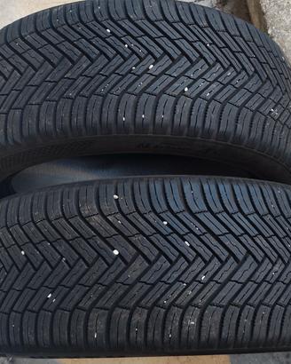 gomme Nexsen 4stagioni 225/45 17
