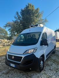 Fiat ducato 2.3 mjt frigo 0 gradi