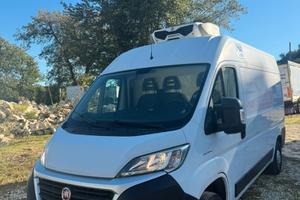 Fiat ducato 2.3 mjt frigo 0 gradi