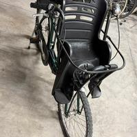 Bicicletta family bike