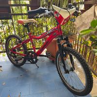 bici kawasaki 20"
