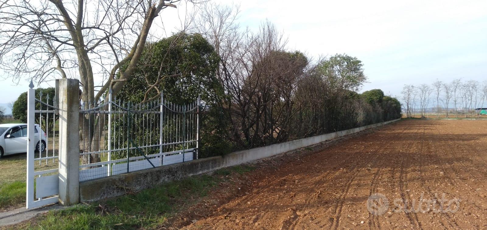Terreno agricolo a Montecchiari - Vista 2