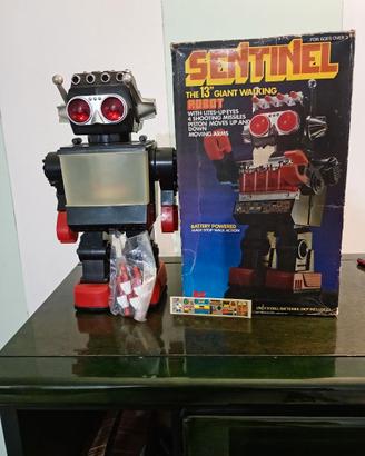 Robot giocattolo