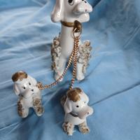 cagnolina con cuccioli 